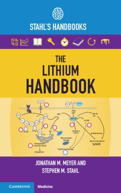 Lithium handbook