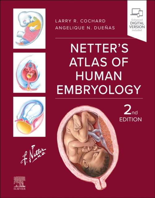 Netter`s atlas of human embryology