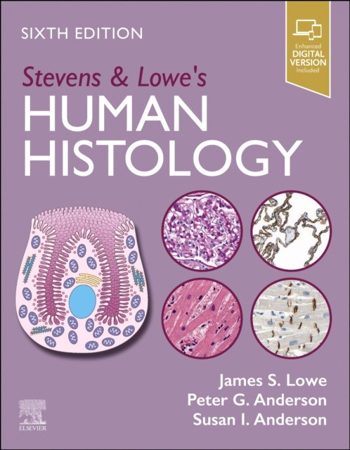 Stevens & lowe`s human histology