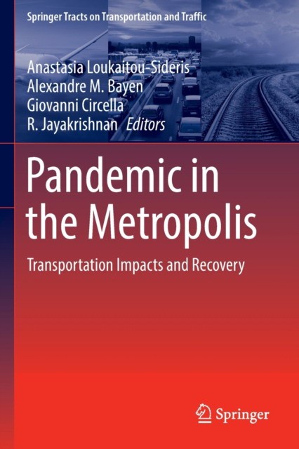 Pandemic in the Metropolis