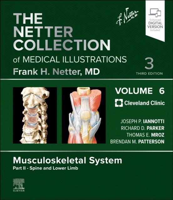 Netter collection of medical illustrations: musculoskeletal system, volume 6, part ii - spine and lower limb