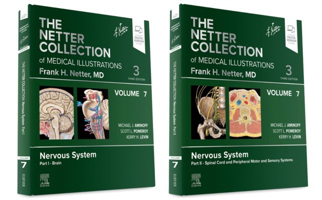 Netter collection of medical illustrations: nervous system package