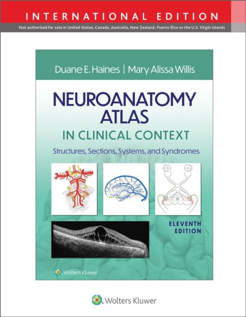 Neuroanatomy atlas in clinical context