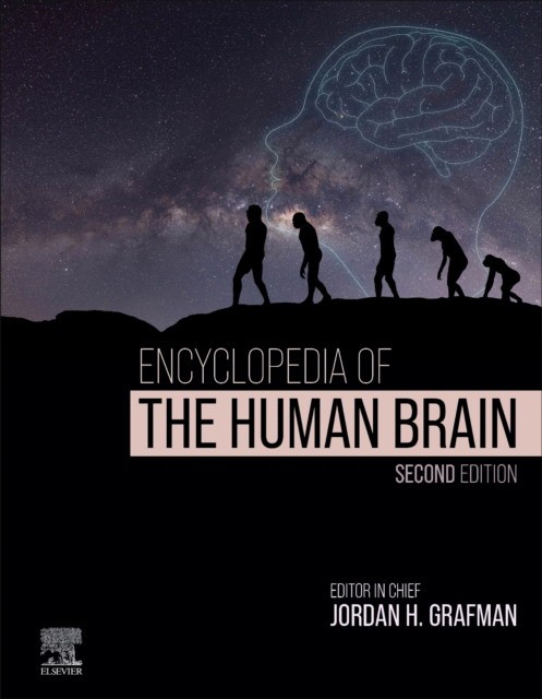 Encyclopedia Of The Human Brain