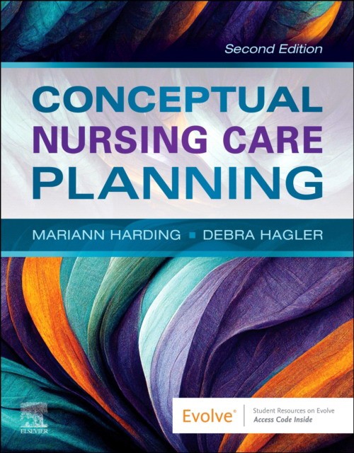 Conceptual nursing care planning