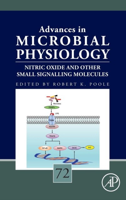 Nitric Oxide and Other Small Signalling Molecules