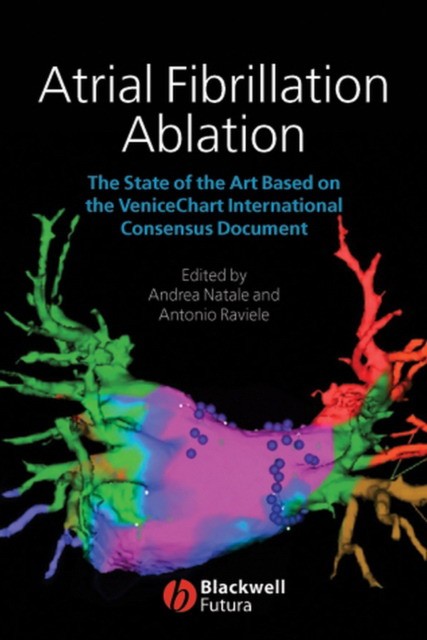 Atrial Fibrillation Ablation: The State of the Art based on the Venicechart International Consensus Document