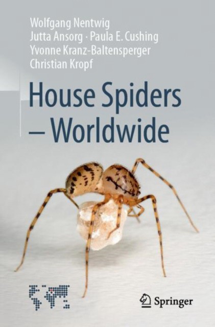 House spiders - worldwide