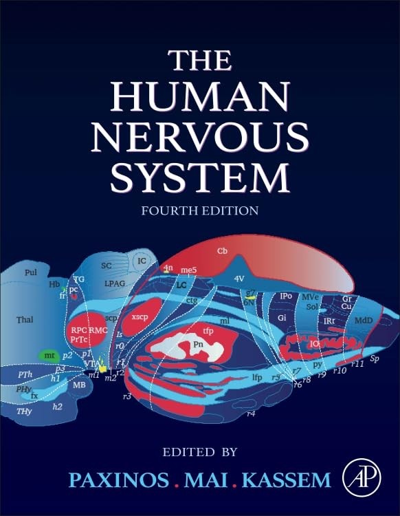 The Human Nervous System
