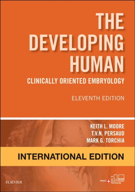 The Developing Human 11 IE
