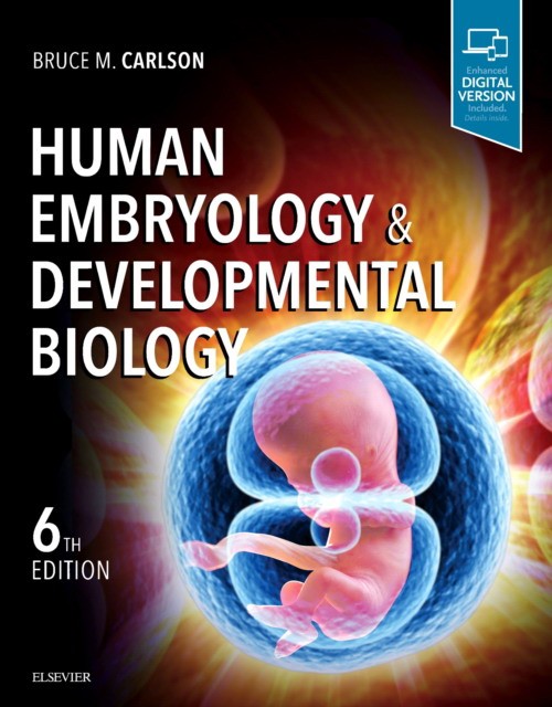 Human Embryology and Developmental Biology, 6 Ed.