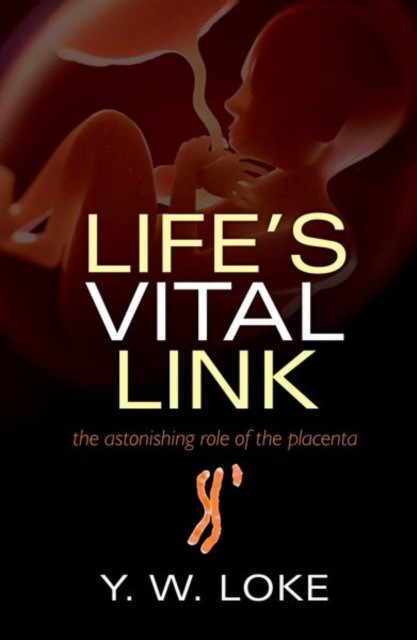 Life`s vital link