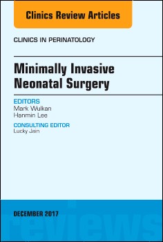 Minimally Invasive Neonatal Surgery, An Issue of Clinics in Perinatology,44-4