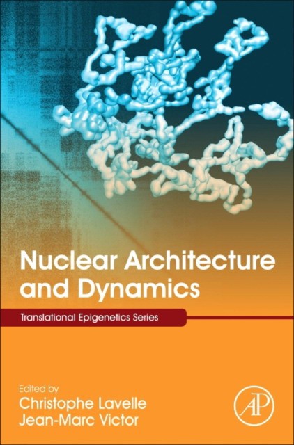 Nuclear Architecture and Dynamics