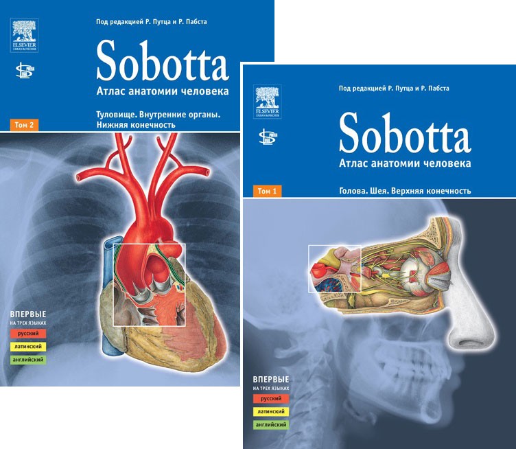 Комплект Sobotta. Атлас анатомии человека Т.1 + Т. 2