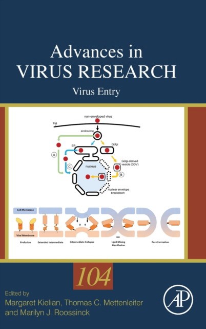 Virus Entry,104