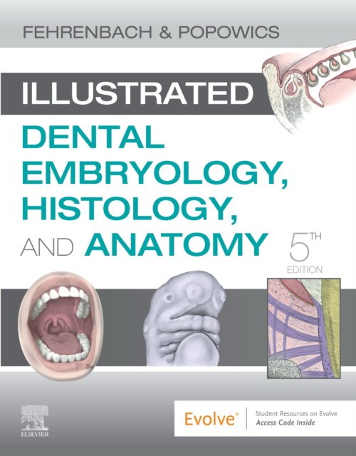 Illustrated Dental Embryology, Histology, And Anatomy