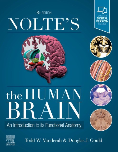 Nolte'S The Human Brain