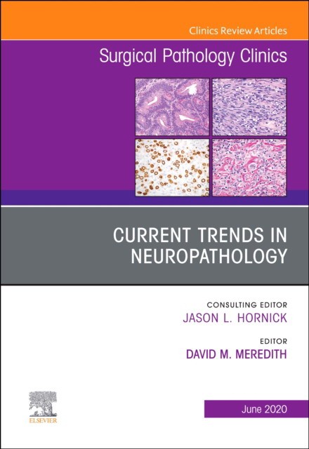 Current Trends In Neuropathology, An Issue Of Surgical Pathology Clinics,13-2