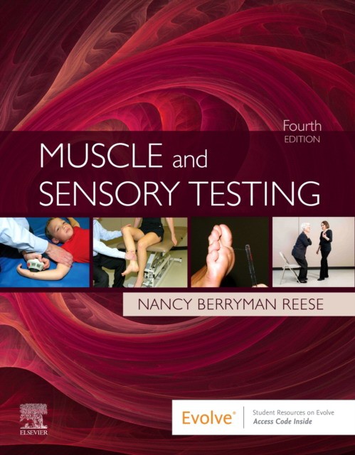 Muscle And Sensory Testing