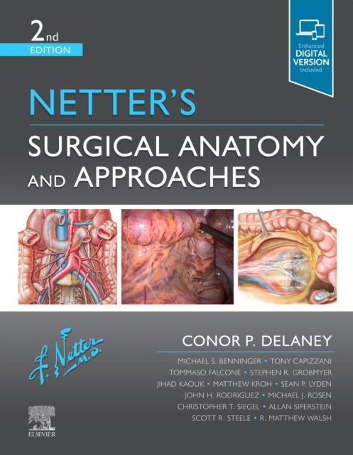 Netter's Surgical Anatomy and Approaches, 2nd Edition