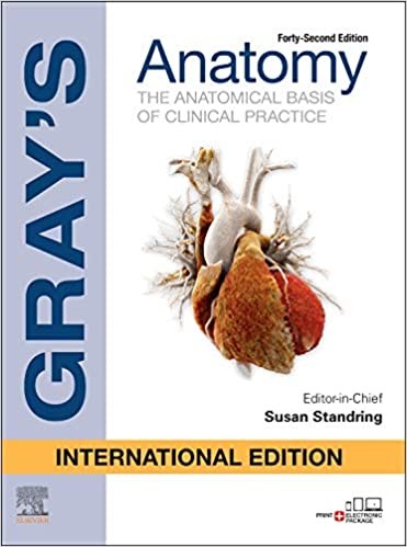 Gray'S Anatomy: The Anatomical Basis of Clinical Practice, 42 ed. International Edition