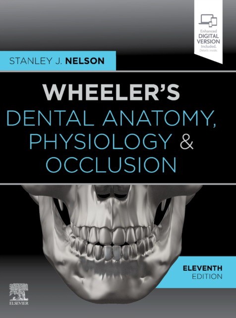 Wheeler's Dental Anatomy, Physiology and Occlusion, 11th Edition.- Elsevier, 2020 СОЕДИНЕННОЕ КОРОЛЕВСТВО ISBN: 9780323638784